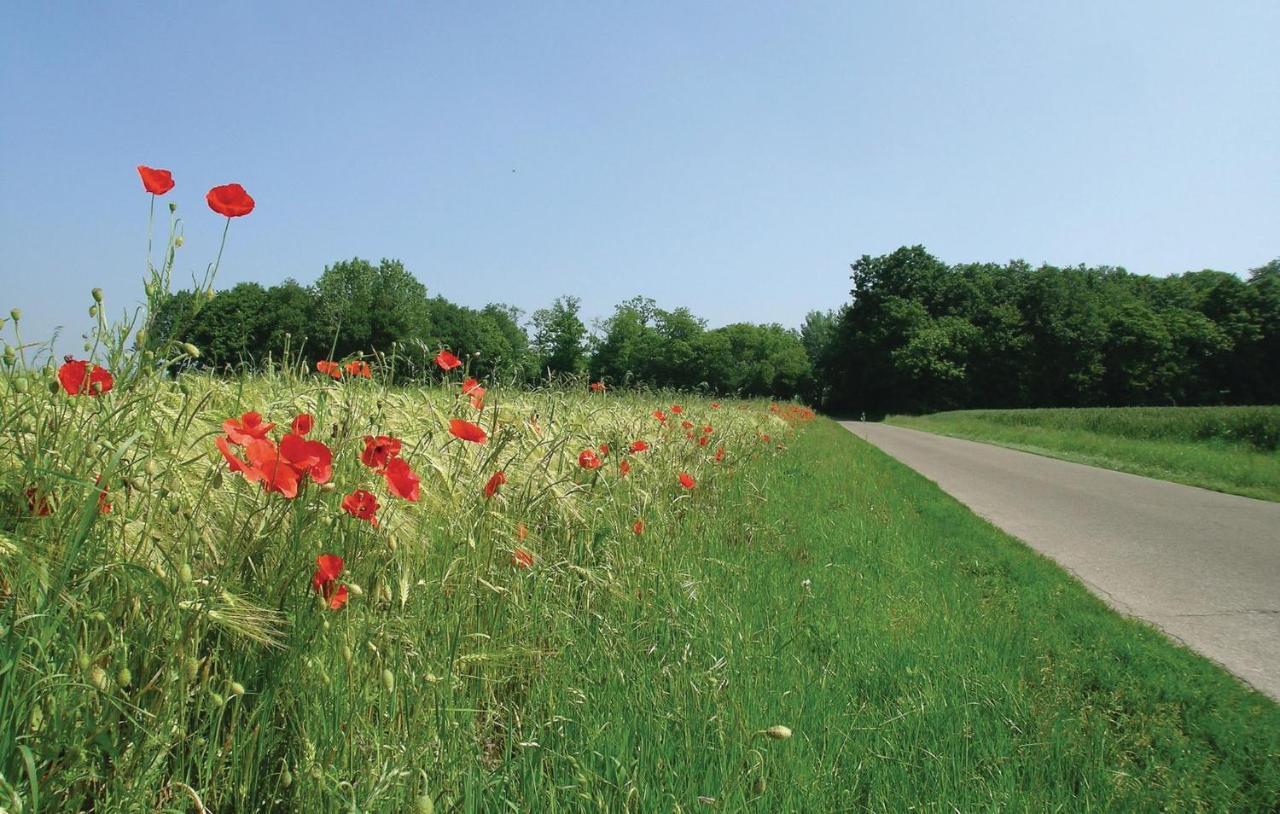 Gite De La Lombardie Lottinghen Esterno foto