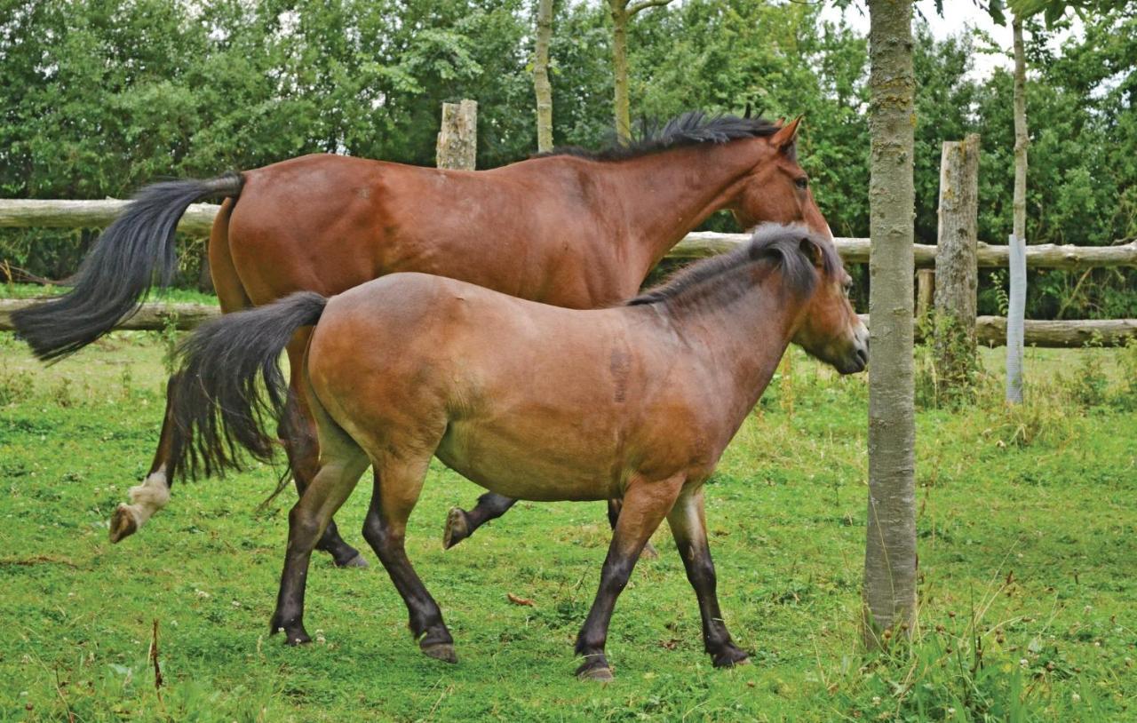 Gite De La Lombardie Lottinghen Esterno foto